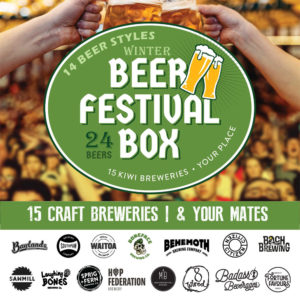 24 beer festival box - Mix beer box